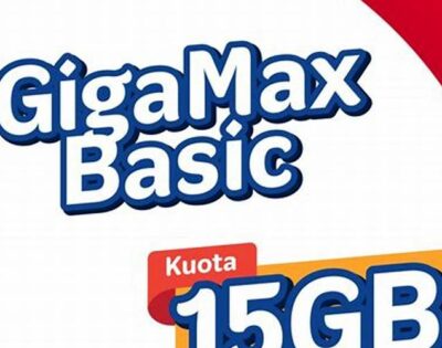 Gigamax Basic