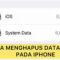 Cara Mengurangi Data Sistem iPhone